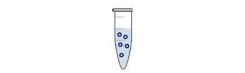 Plasmid DNA kits