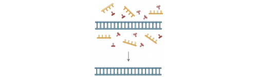 PCR product kits