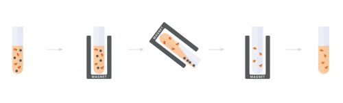 Magnetic Particle Separation