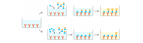 ELISA kits