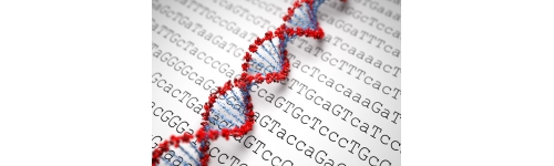 Sanger Sequencing and fragment analyses