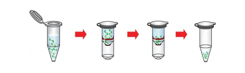 Nucleic acid isolation