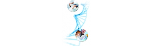 NGS - Next Generation Sequencing