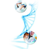 Sequencing