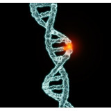 Molecular Diagnostics