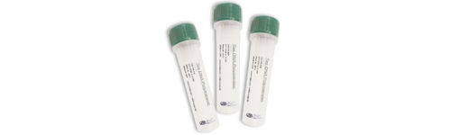 PCR polymerases