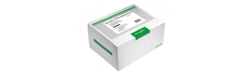 real-time PCR kits