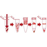 DNA kits