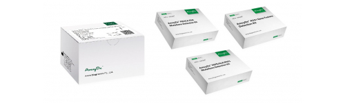 AmoyDx Real-time PCR kits