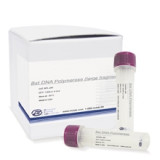 Mezofilní DNA polymerázy